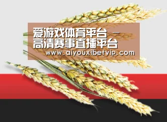 爱游戏体育平台 - 高清赛事直播平台
