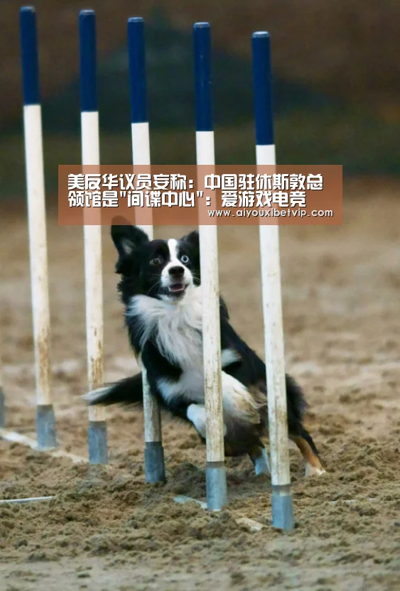 爱游戏百家乐