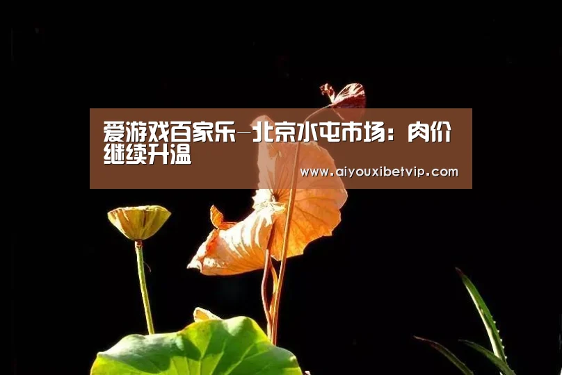 爱游戏视讯
