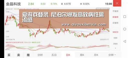 爱游戏百家乐