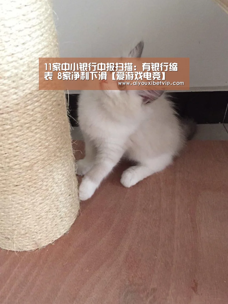 11家中小银行中报扫描:有银行缩表 8家净利下滑【爱游戏电竞】(图2) 爱游戏百家乐