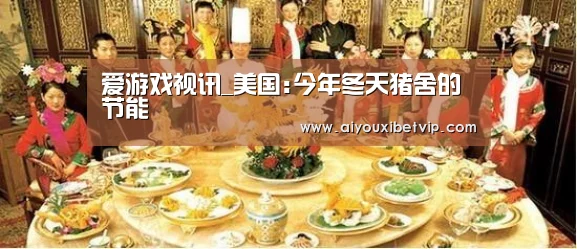 爱游戏视讯_美国:今年冬天猪舍的节能(图3) 爱游戏登录