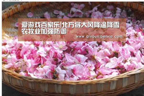 爱游戏登录