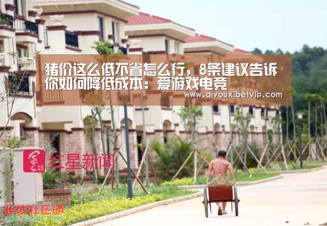 爱游戏登录