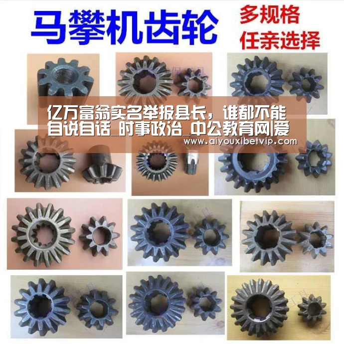 亿万富翁实名举报县长,谁都不能自说自话_时事政治_中公教育网|爱游戏视讯(图1) 爱游戏电竞