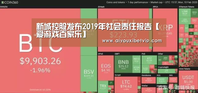新城控股发布2019年社会责任报告【爱游戏百家乐】(图1) 爱游戏视讯