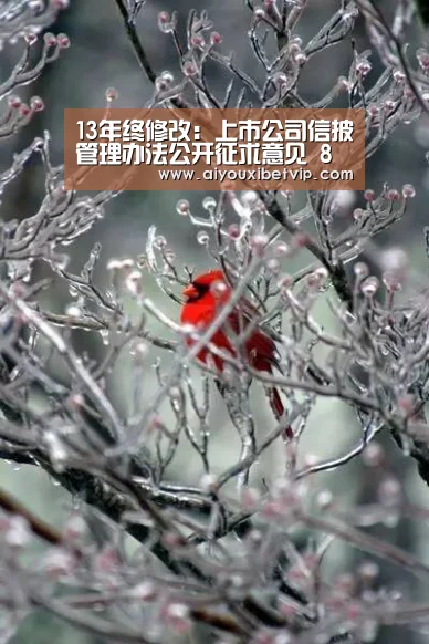 爱游戏视讯
