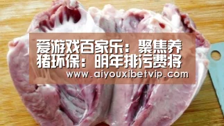 爱游戏百家乐:聚焦养猪环保:明年排污费将翻番(图2) 爱游戏电竞