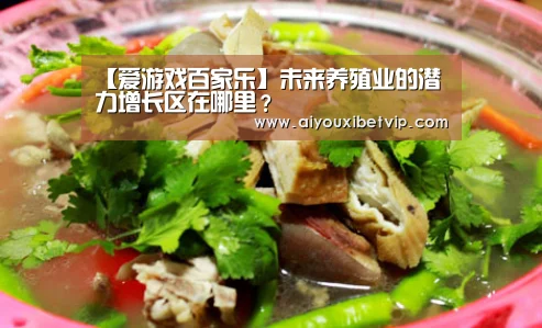 爱游戏视讯
