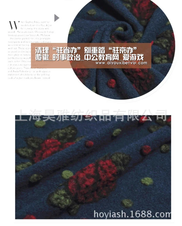 爱游戏视讯
