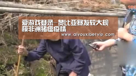 爱游戏登录-赞比亚暴发较大规模非洲猪瘟疫情(图1) 爱游戏视讯