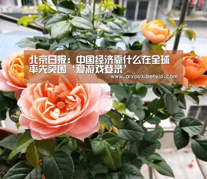 北京日报:中国经济靠什么在全球率先突围‘爱游戏登录’(图1) 爱游戏登录