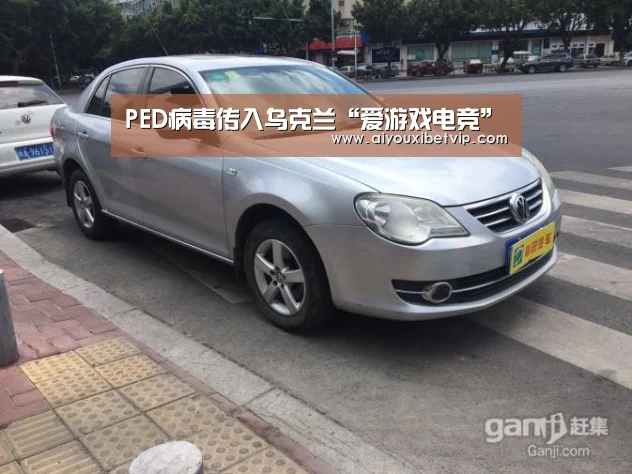 PED病毒传入乌克兰“爱游戏电竞”(图1) 爱游戏视讯