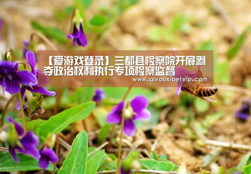 【爱游戏登录】三都县检察院开展剥夺政治权利执行专项检察监督(图1) 爱游戏百家乐