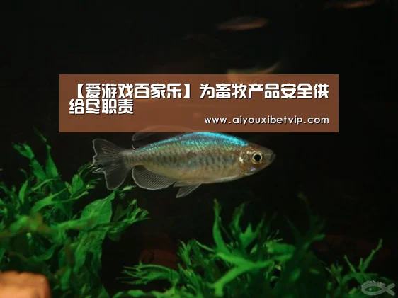 【爱游戏百家乐】为畜牧产品安全供给尽职责(图4) 爱游戏视讯