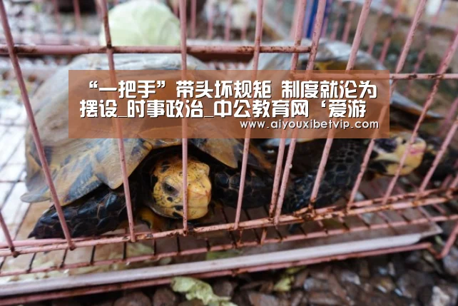 “一把手”带头坏规矩 制度就沦为摆设_时事政治_中公教育网‘爱游戏百家乐’(图1) 爱游戏电竞
