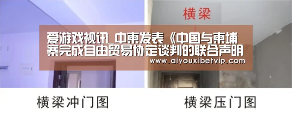 爱游戏视讯_中柬发表《中国与柬埔寨完成自由贸易协定谈判的联合声明》(图2) 爱游戏视讯