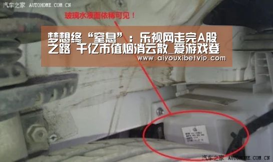 梦想终“窒息”:乐视网走完A股之路 千亿市值烟消云散_爱游戏登录(图3) 爱游戏电竞