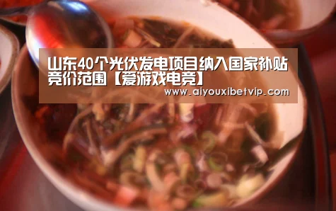 爱游戏视讯